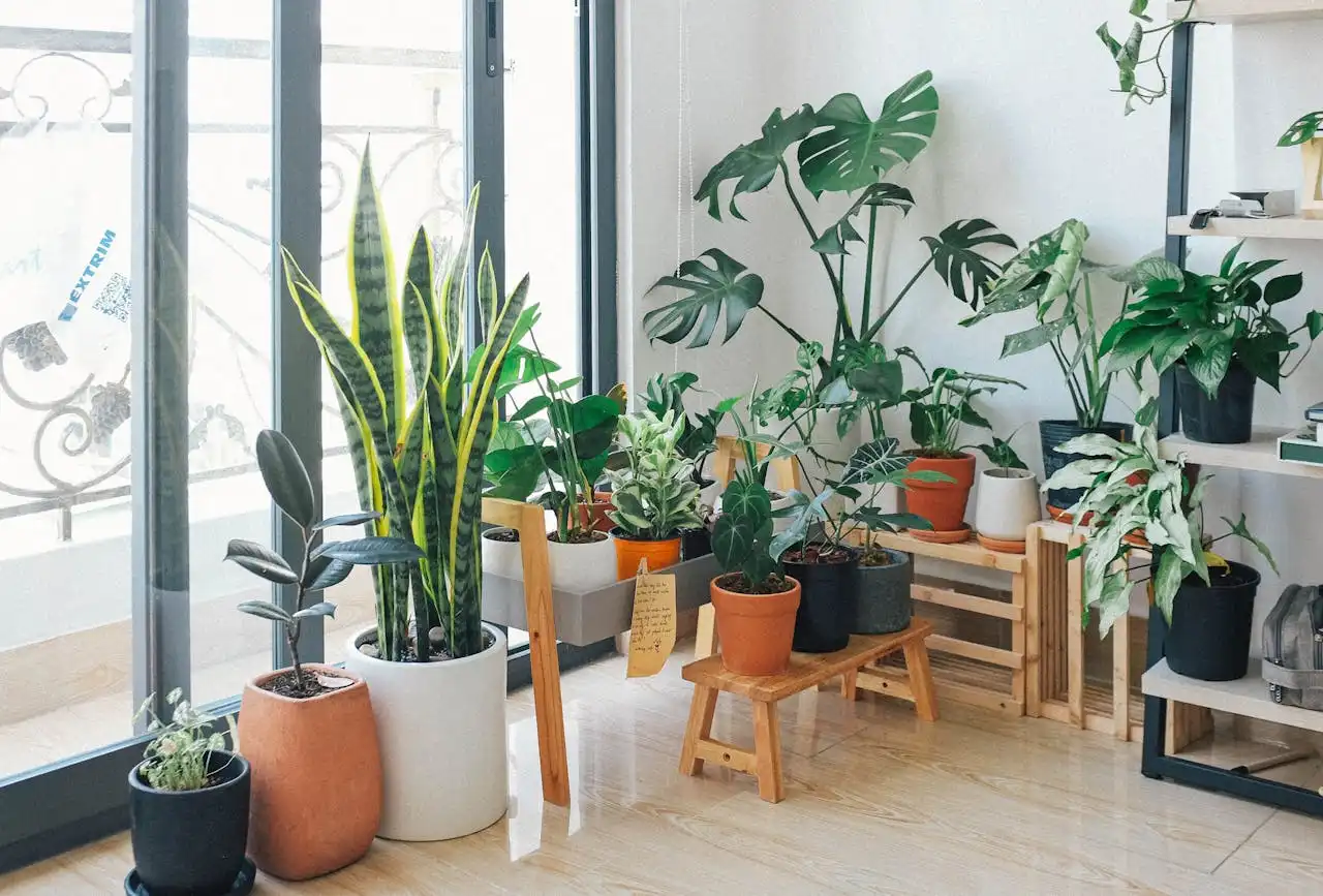 Indoor Greener Post